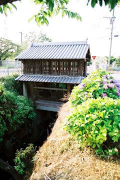 引用