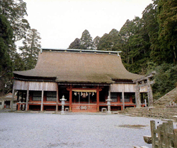 引用